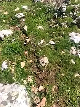 Sert erkek21 ysm online show from 03.24.26