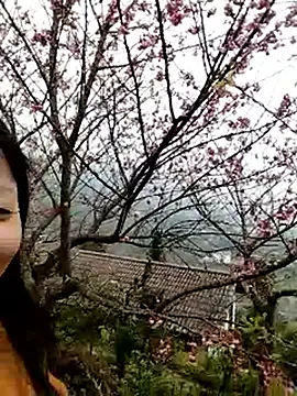 sumaybae online show from 01.10.26