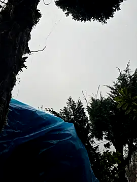 Snapshot of miomio-12 chatting on 11.02.25 miomio-12 online show from 11.02.25