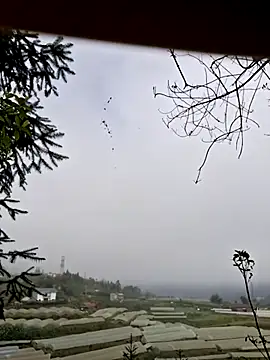 Snapshot of miomio-12 chatting on 11.07.25 miomio-12 online show from 11.07.25