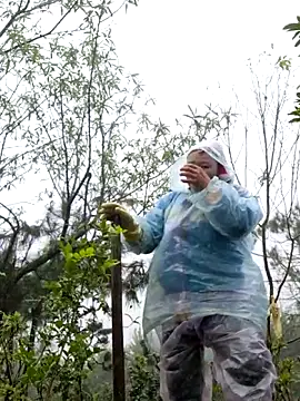 Snapshot of miomio-12 chatting on 11.18.25 miomio-12 online show from 11.18.25