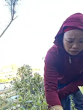 Snapshot of miomio-12 chatting on 11.25.25 miomio-12 online show from 11.25.25