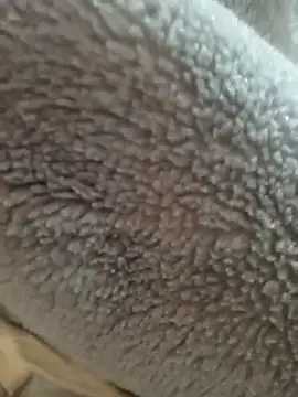 Saif b11b online show from 03.24.26