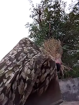 Hot eras36 online show from 10.22.25