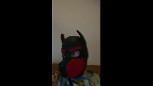 MolleDolle online show from 03.01.26