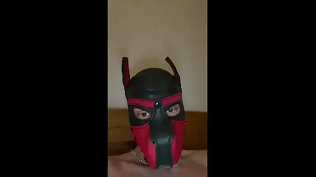 MolleDolle online show from 03.11.26