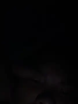 hello-cute online show from 12.16.25