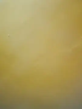 Snapshot of tamil-mala23 chatting on 10.18.25 tamil-mala23 online show from 10.18.25