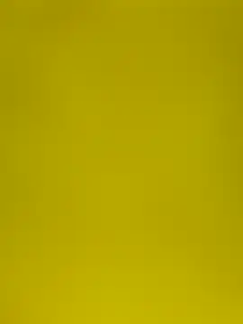 Snapshot of leeya14 chatting on 10.10.25 leeya14 online show from 10.10.25