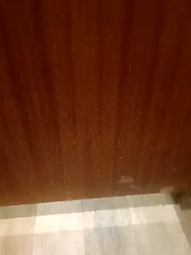 Snapshot of leeya14 chatting on 10.11.25 leeya14 online show from 10.11.25