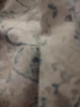 Snapshot of shyguy8569 chatting on 12.05.25 shyguy8569 online show from 12.05.25