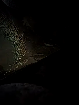 crawlerdrill online show from 05.24.26