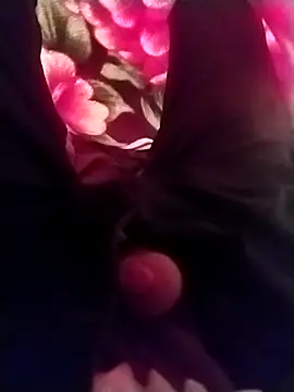 Playboyx143xh online show from 11.17.25