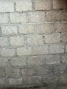 siusiu-00 online show from 02.19.26