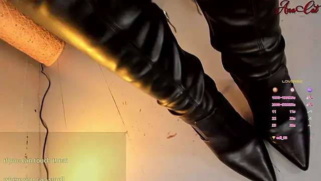 ana cat online show from 03.11.26