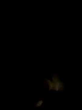 Snapshot of an-show chatting on 12.04.25 an-show online show from 12.04.25