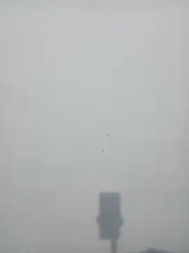 Snapshot of strip_queennn chatting on 11.10.25 strip queennn online show from 11.10.25