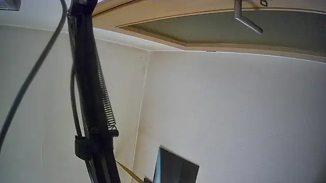 bull419M online show from 10.17.25