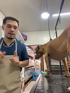 Leonardmoppet online show from 11.05.25