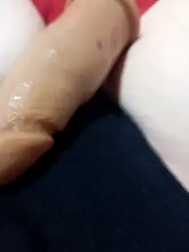 Taradinha pelosogro online show from 03.10.26