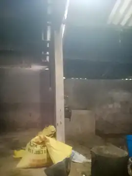 Myzak- online show from 10.18.25