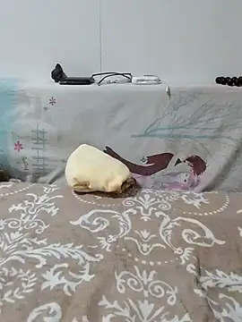 caige8888 online show from 11.17.25