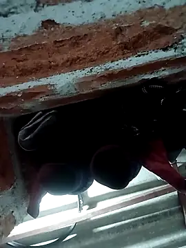 Rajni chauhan online show from 11.05.25