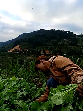 omai-ngot online show from 11.22.25