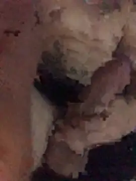 Snapshot of Osonhodelas chatting on 01.11.26 Osonhodelas online show from 01.11.26