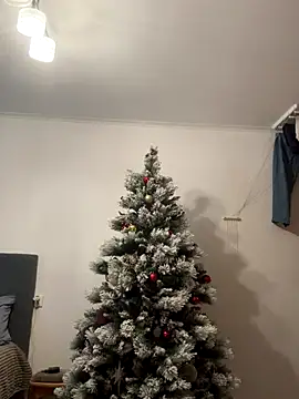 Amelia-Diamond online show from 12.15.25