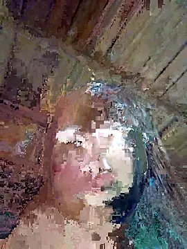 Snapshot of Squirrel-Pear chatting on 11.08.25 Squirrel-Pear online show from 11.08.25