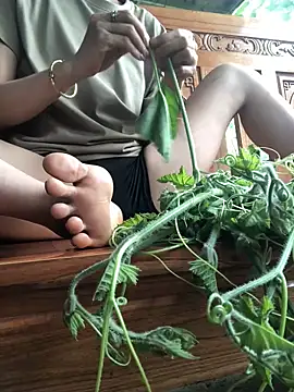 Kylie beem online show from 04.25.26