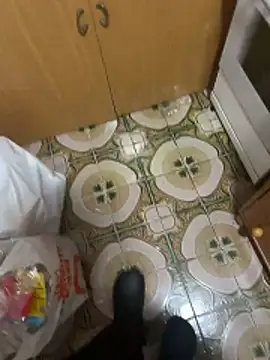 Anaconda Negra20 online show from 12.16.25