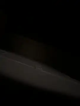 bart98geil online show from 04.06.26