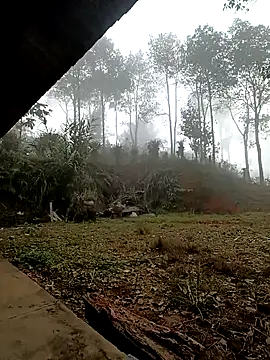 sowbibi online show from 12.15.25