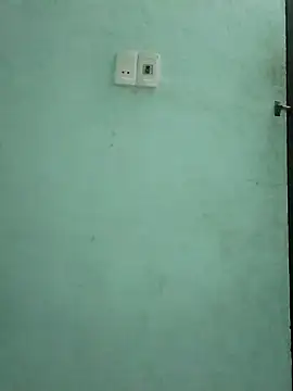  LAN  online show from 11.03.25