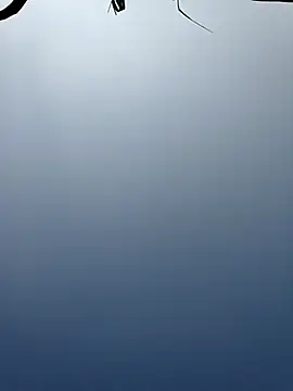 Menu x online show from 01.13.26