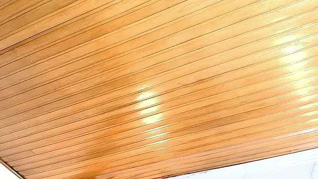 AlexaLaenz online show from 01.05.26