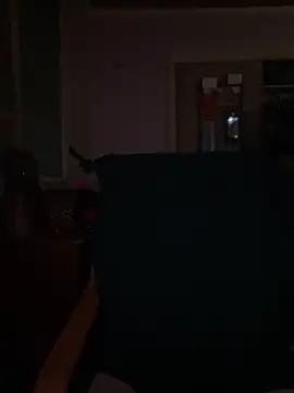 Snapshot of Macduckd chatting on 02.13.26 Macduckd online show from 02.13.26