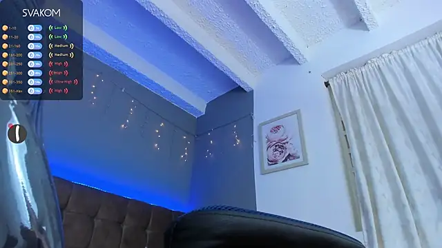 Snapshot of Alexa_Liam chatting on 11.06.25 Alexa Liam online show from 11.06.25