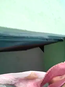 Snapshot of Bhumika_Love chatting on 11.11.25 Bhumika Love online show from 11.11.25