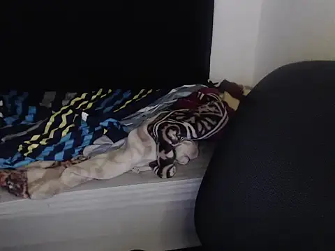 Snapshot of Negritatata chatting on 11.28.25 Negritatata online show from 11.28.25