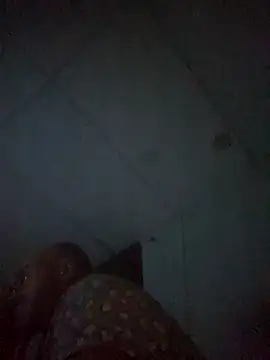 Snapshot of BulbasaurIsmettv chatting on 11.12.25 BulbasaurIsmettv online show from 11.12.25