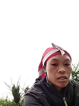 Snapshot of dinnavi chatting on 11.20.25 dinnavi online show from 11.20.25