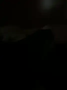 Snapshot of PassionCoupleLove chatting on 10.26.25 PassionCoupleLove online show from 10.26.25