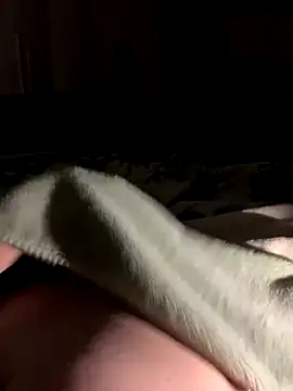 Snapshot of bfelipedasilva chatting on 10.28.25 bfelipedasilva online show from 10.28.25