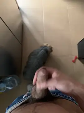 findomhot online show from 02.04.26