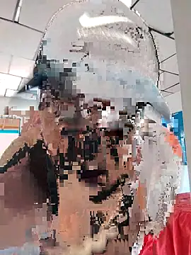 Snapshot of LAPOTRA_04 chatting on 04.01.26 LAPOTRA 04 online show from 04.01.26