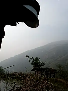 Noelle-e online show from 04.06.26