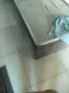 Telugus online show from 11.07.25